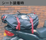 helmet bag 6