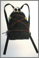 touring d pack 2