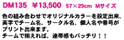 DM135 Tag&Copyright