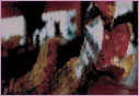 gallery-seek